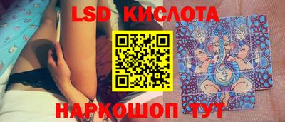 прущие грибы Апшеронск