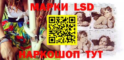 прущие грибы Апшеронск