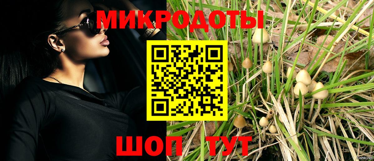 Псилоцибиновые грибы Psilocybine cubensis  Балашиха 